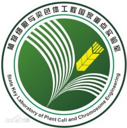 cmu_logo